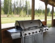 BarBQ and Pavilion
