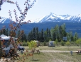 iRVin's Park in Spring